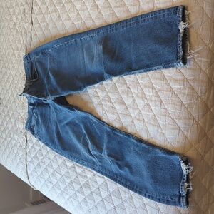 Agolde Riley Long High Rise Straight Stretch